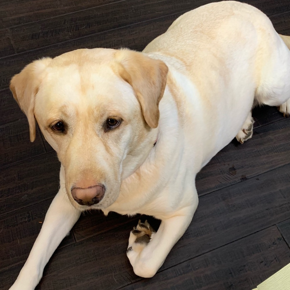 Meet your Posher, Jessica